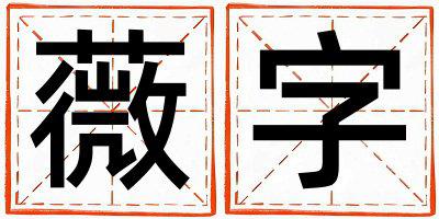 薇字取名的寓意和含义 男孩用薇字取名