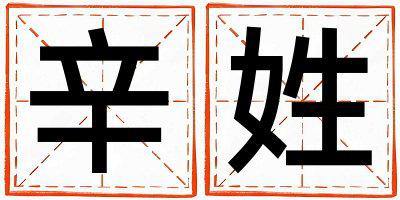 辛姓有涵养的女孩名字